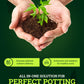 FoxFarm Ocean Forest Potting Soil