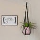 Mkono Macrame Plant Hanger Indoor Hanging Planter Basket with Wood Beads Decorative Flower Pot Holder No Tassels for Indoor Outdoor Boho Home Decor 35 Inch, Ivory, Set of 1 (POTS NOT Included)