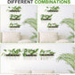 Plant Propagation Station - SET OF 3