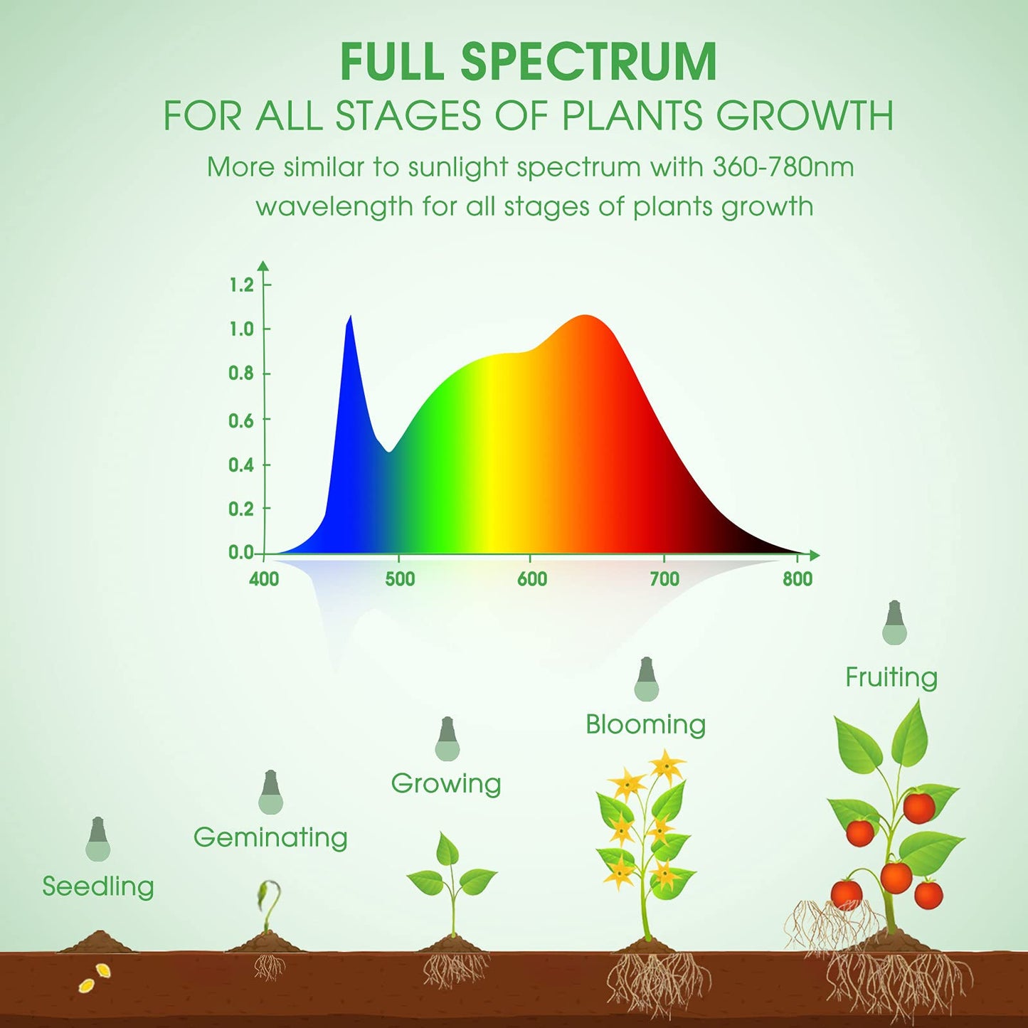 Grow Light Bulbs |  Full Spectrum