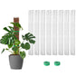 Plastic Moss Pole for Plants 24"