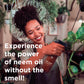 Big Leaf Energy Organic Neem Oil + Essential Oils