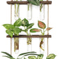 Wall Hanging Plant Propagation Station