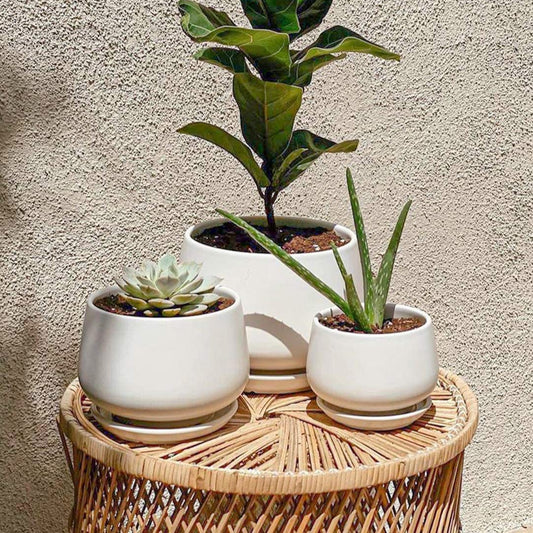 Ceramic Planter Set