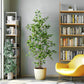 Artificial Ficus Tree & Planter