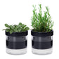 Self Watering Planter Pot Terracotta and Glass