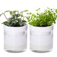 Self Watering Planter Pot Terracotta and Glass