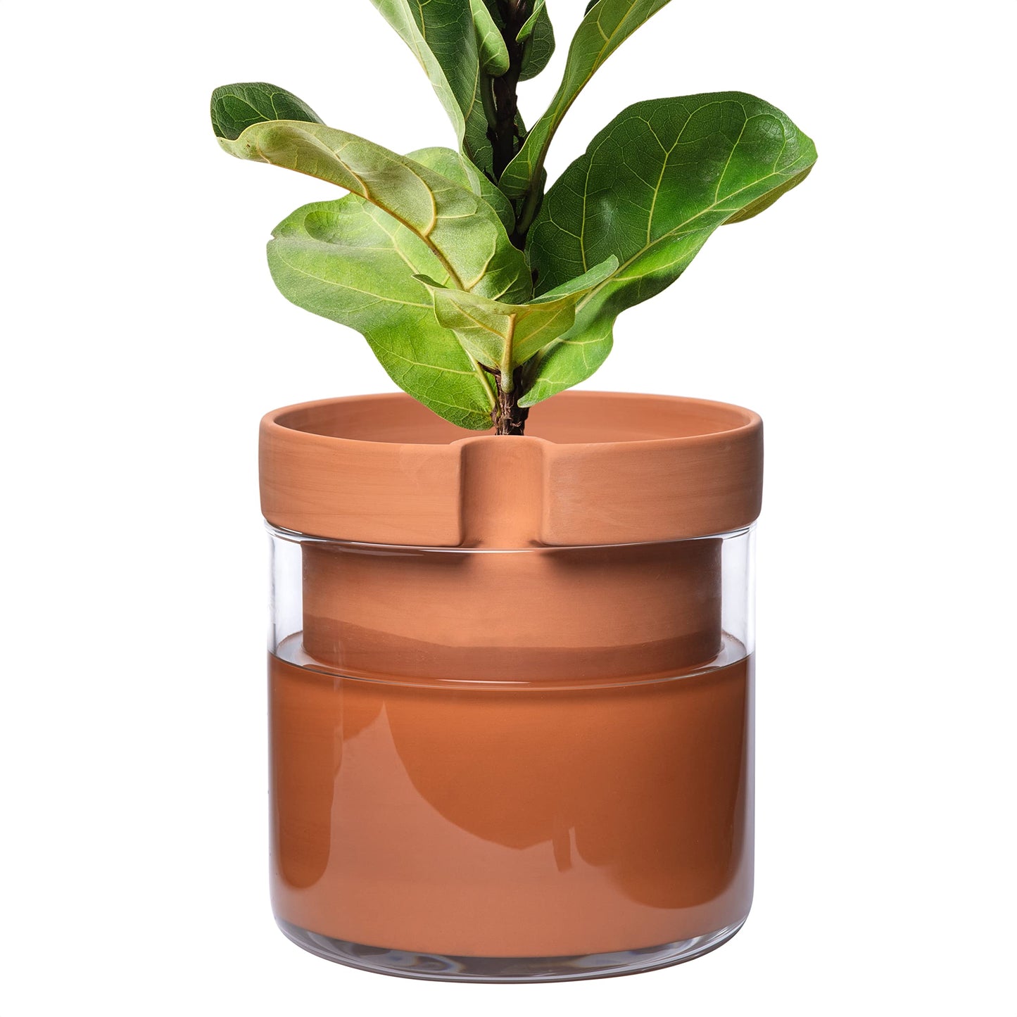 Self Watering Planter Pot Terracotta and Glass