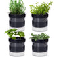Self Watering Planter Pot Terracotta and Glass