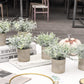 Mini Potted Artificial Plants - 3 pack