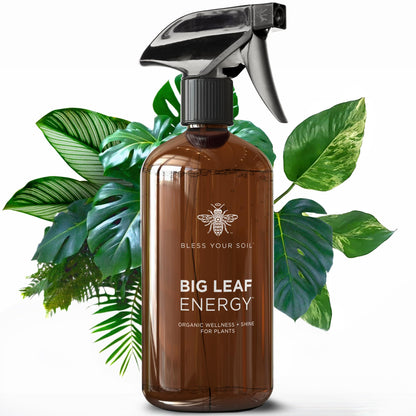 Big Leaf Energy Organic Neem Oil + Essential Oils