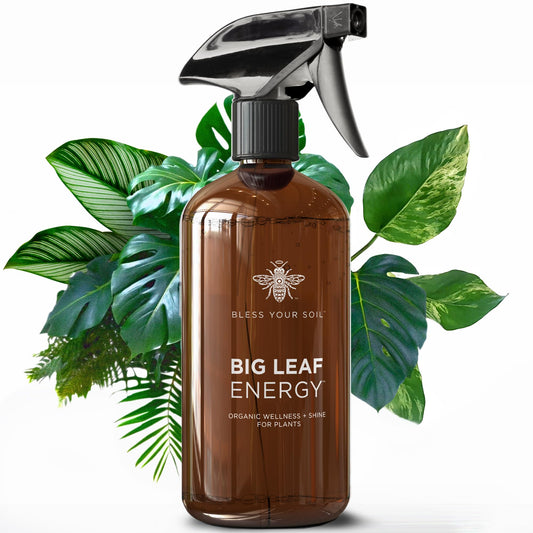 Big Leaf Energy Organic Neem Oil + Essential Oils