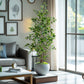 Artificial Ficus Tree & Planter