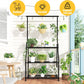 Indoor/Outdoor Plant Stand