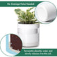 Self Watering Planter Pot Terracotta and Glass