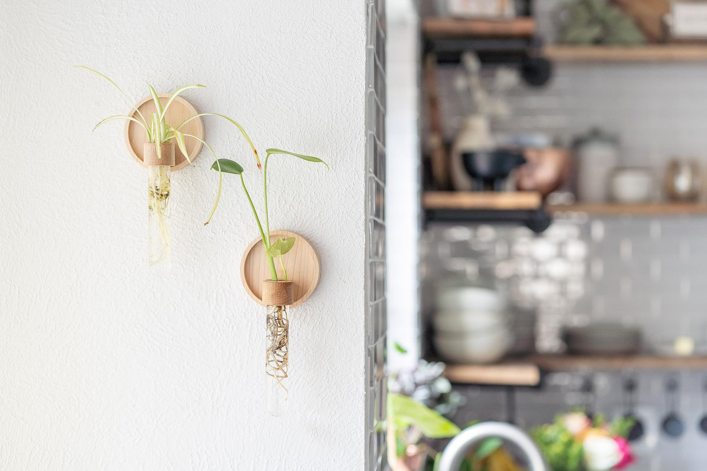 Maple Wood Propagation Wall Vases