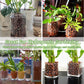 Organic Expanded Clay Pebbles for Plants | Leca