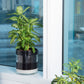 Self Watering Planter Pot Terracotta and Glass