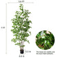 Artificial Ficus Tree & Planter