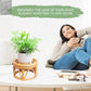 Rattan Wicker Risers S/M