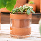 Self Watering Planter Pot Terracotta and Glass