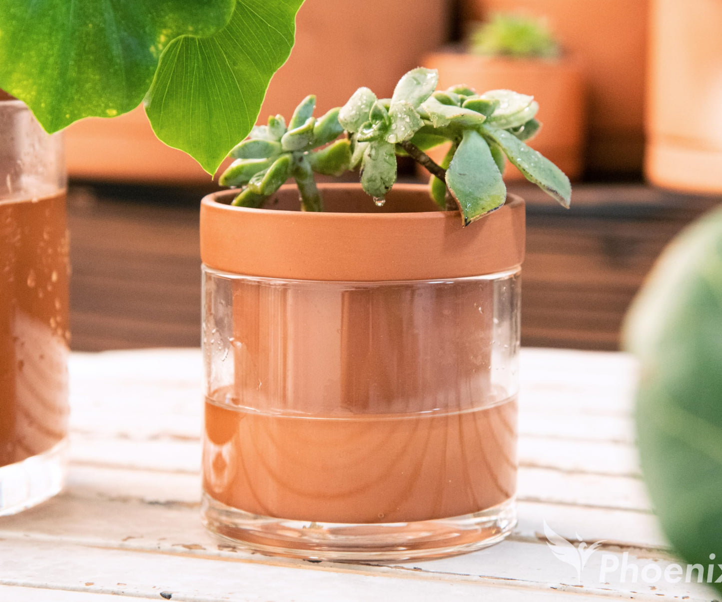 Self Watering Planter Pot Terracotta and Glass