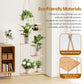 Hanging Plant Shelf