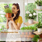 Hanging Plant Shelf
