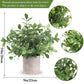 Mini Potted Artificial Plants - 3 pack