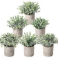 Mini Potted Artificial Plants - 3 pack