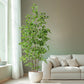 Artificial Ficus Tree & Planter