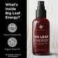 Big Leaf Energy Organic Neem Oil + Essential Oils