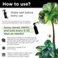 Big Leaf Energy Organic Neem Oil + Essential Oils