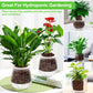 Organic Expanded Clay Pebbles for Plants | Leca