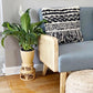 Rattan Wicker Risers S/M