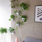 Self-Watering Wall Planter Set
