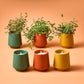 Modern Sprout Rooted Candle - 2 in 1 Scented Soy Candle with Seeds
