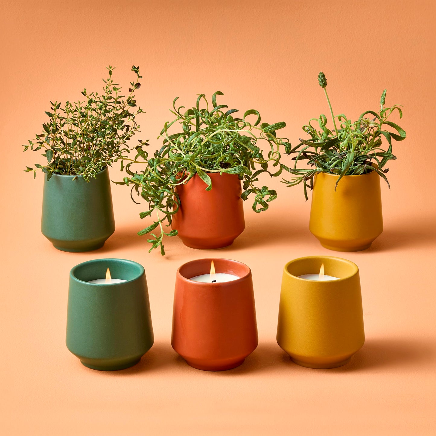 Modern Sprout Rooted Candle - 2 in 1 Scented Soy Candle with Seeds