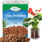 Organic Expanded Clay Pebbles for Plants | Leca