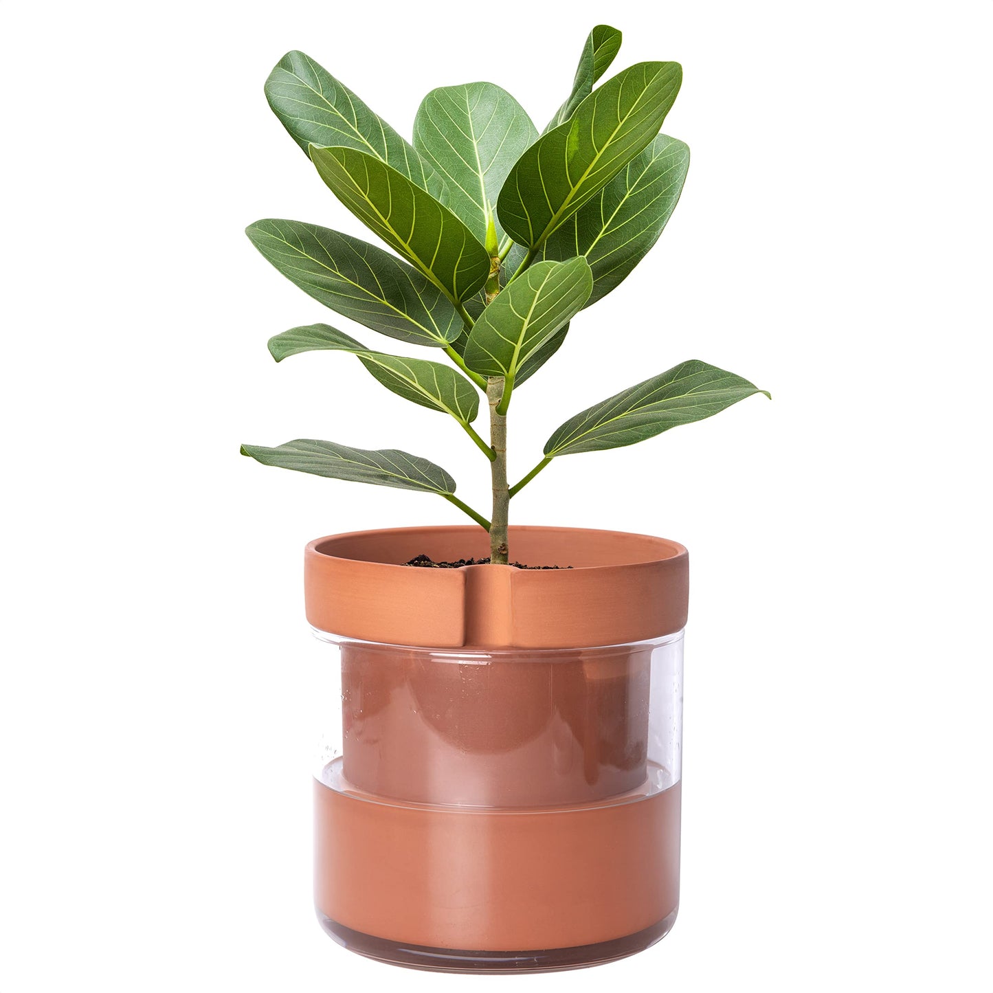 Self Watering Planter Pot Terracotta and Glass