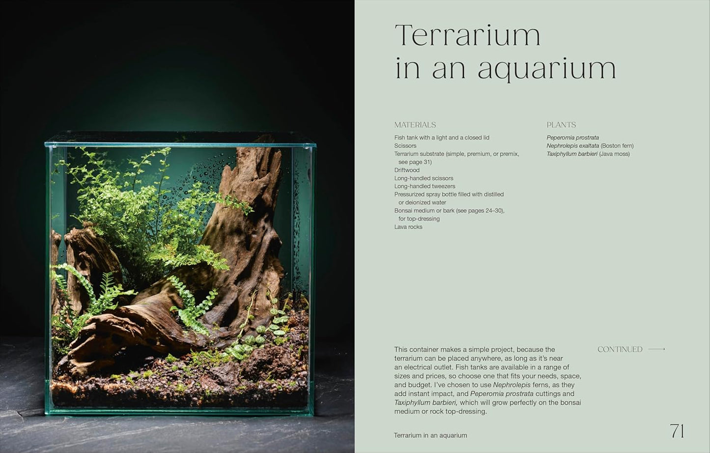 How to Create A mini Terrarium