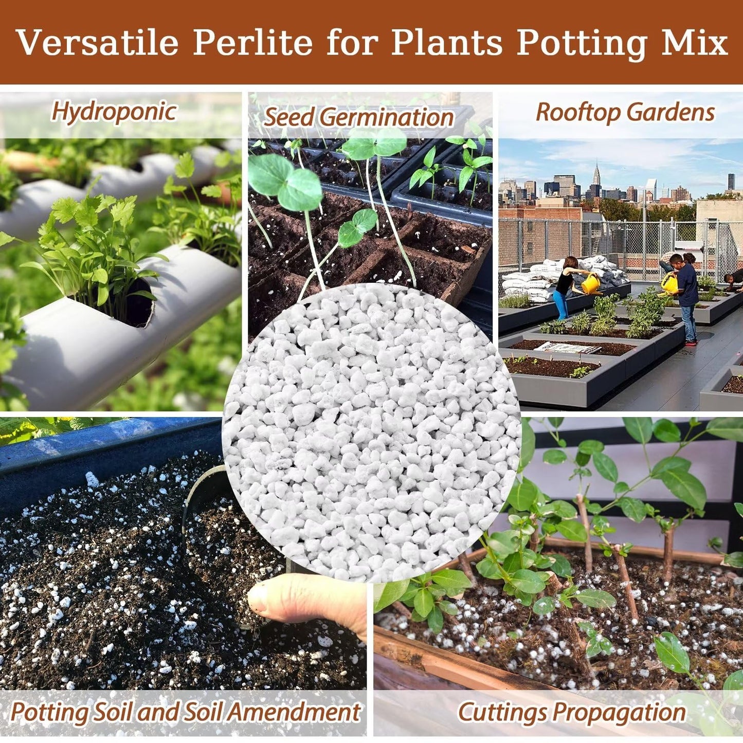 Organic Perlite | Horticultural Natural Chunky