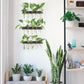 Plant Propagation Station - SET OF 3