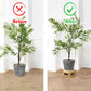 Rattan Wicker Risers L/XL