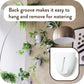 Self-Watering Wall Planter Set