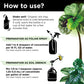 Big Leaf Energy Organic Neem Oil + Essential Oils