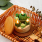 Cactus Terrarium Plant Candle
