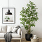 Artificial Ficus Tree & Planter
