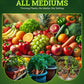 FoxFarm Ocean Forest Potting Soil