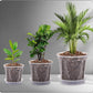 Clear Nursery Pots 12 Pack 4/5/6 Inch w/Tray